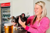 Two chooks on the bar at the Paynesville pub, with owner Jaclyn Robinson.