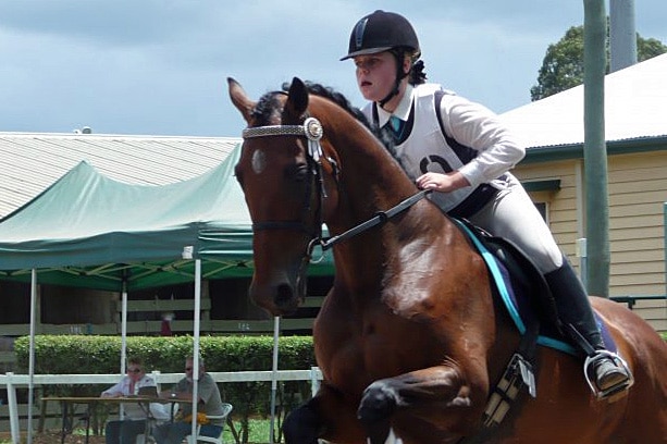 Wally is pictured jumping over a fence with rider Sarah Reardon at the Queensland State Titles last year.