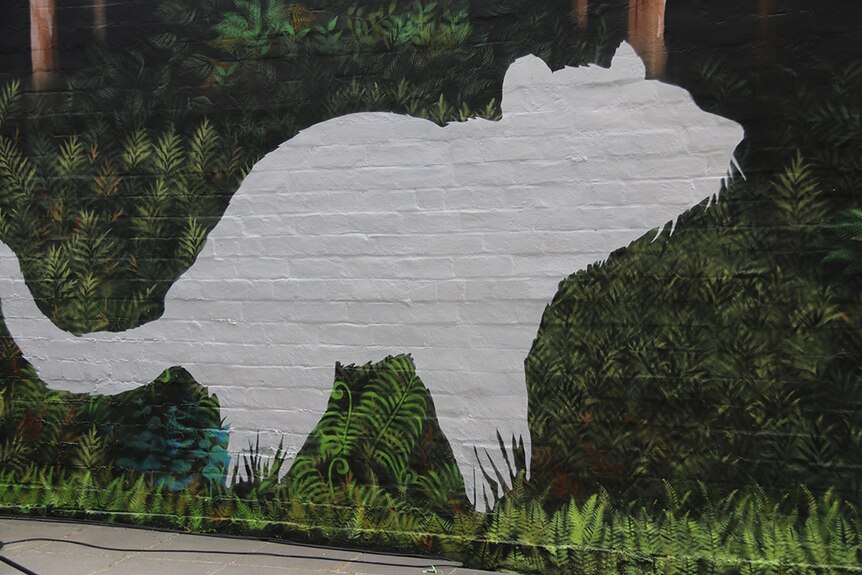 Detail from Save The Tassie Devil street art project, Hobart CBD