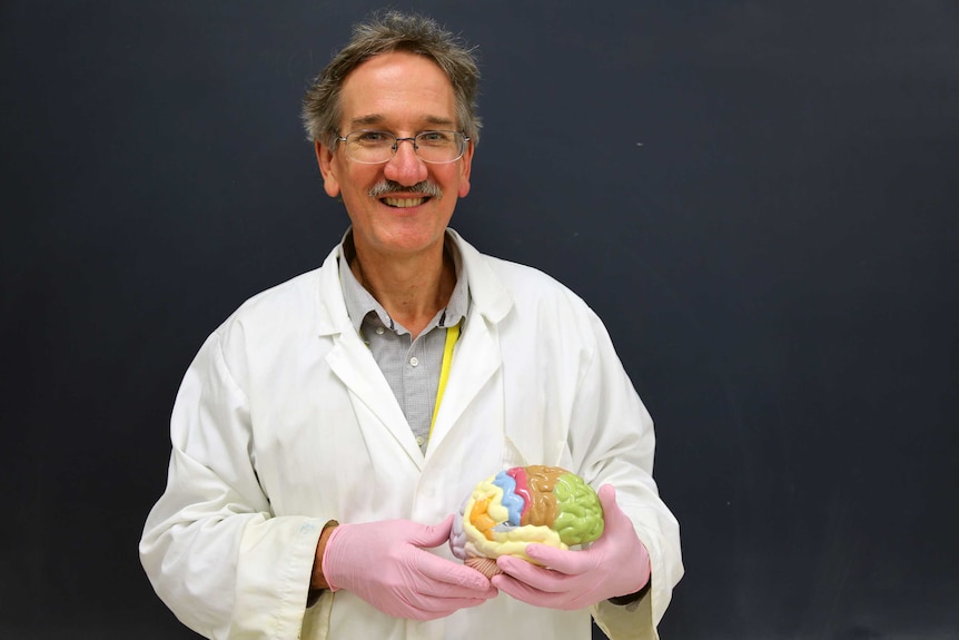 Professor Ken Ashwell in a lab coat and holding a brain