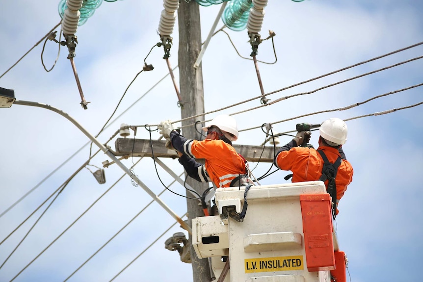 Dos trabajadores de energía en un recolector de cerezas trabajan para reparar un poste de energía.