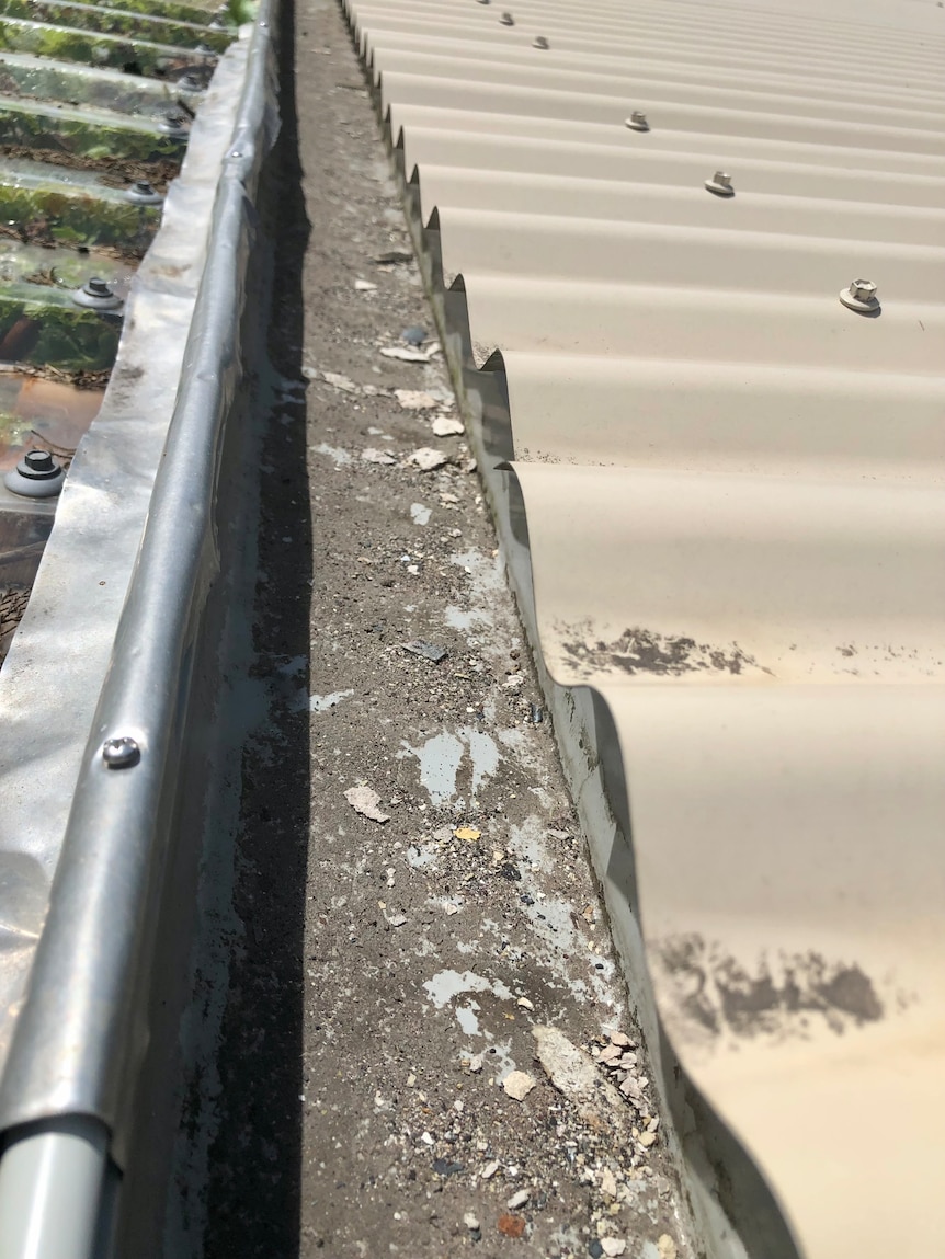 Small asbestos fragments in a roof gutter