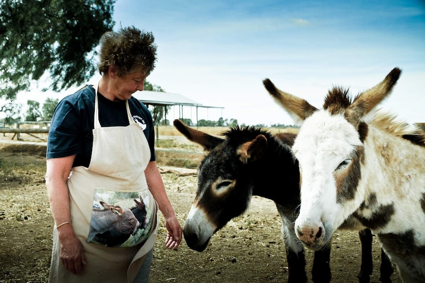 Dr May Dodd with Rodney and Aussie