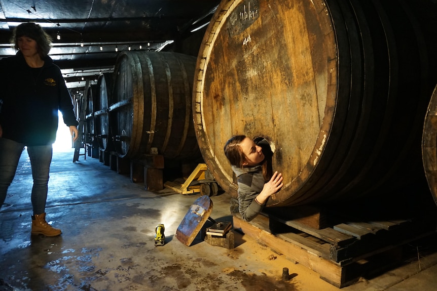a woman climbs inside a wine barrel with a small door