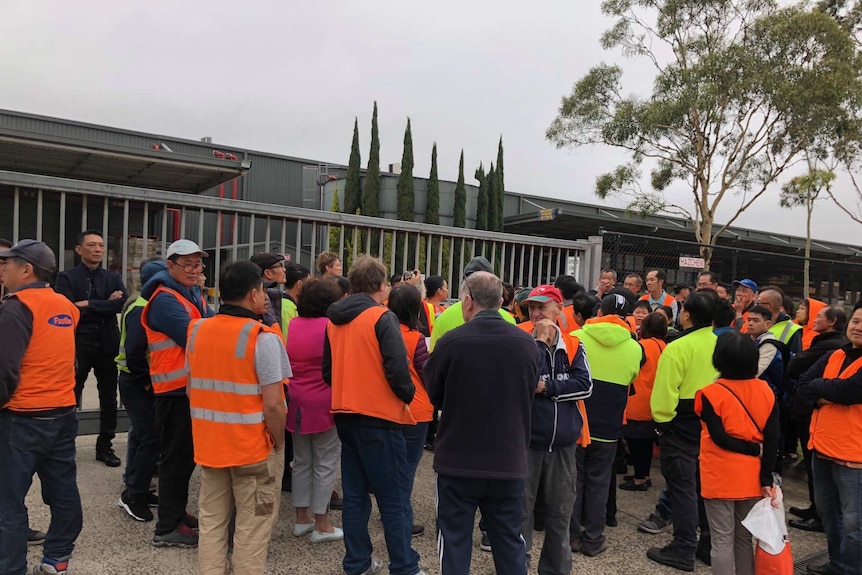 Workers in  high-vis gather to meet with union officials.