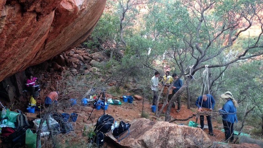 Ancient secrets of Burrup revealed