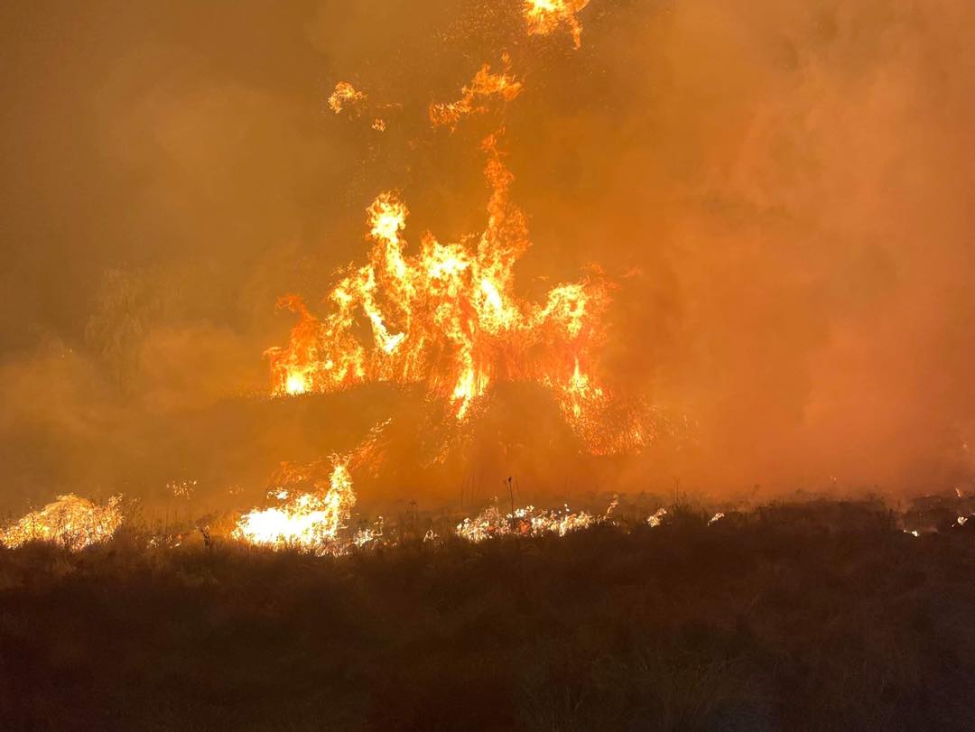 A harsh yellow blaze in the night. 