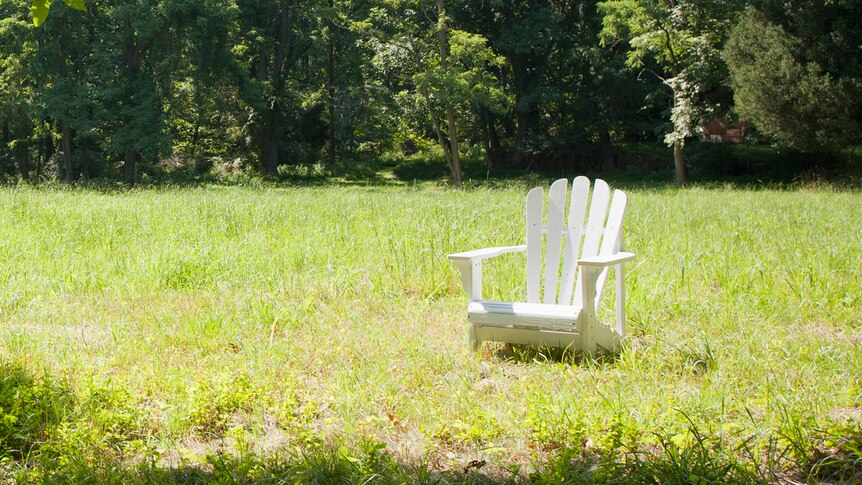 In a verdant green field surrounded by dense tree foliage, a white Adirondack chair is pictured in isolation.