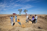 Australian Age of Dinosaurs conducts its annual dig for fossils at Winton