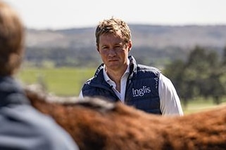 A man stands looking over a brown horse's back.