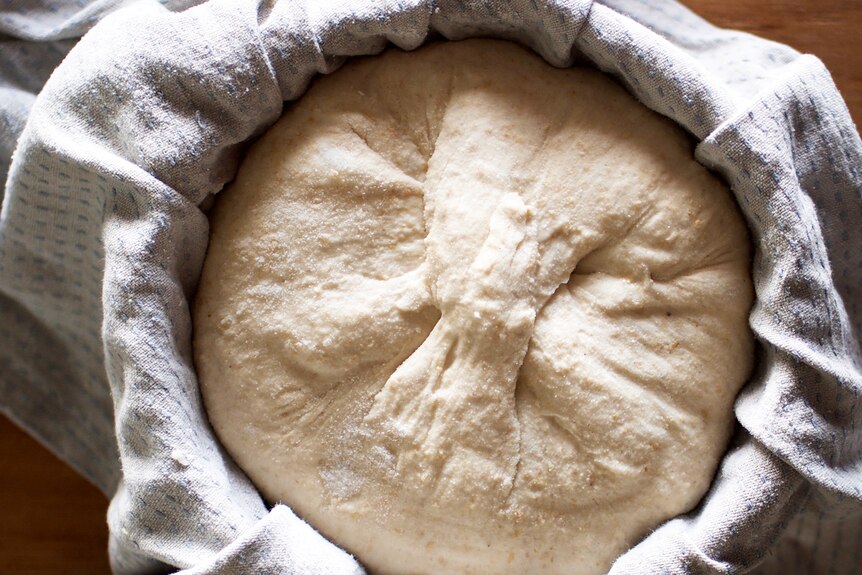 The sourdough is shaped and put into a bowl or basket in the morning, part of a simple sourdough recipe.