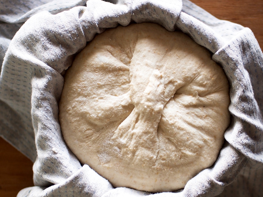 The sourdough is shaped and put into a bowl or basket in the morning, part of a simple sourdough recipe.