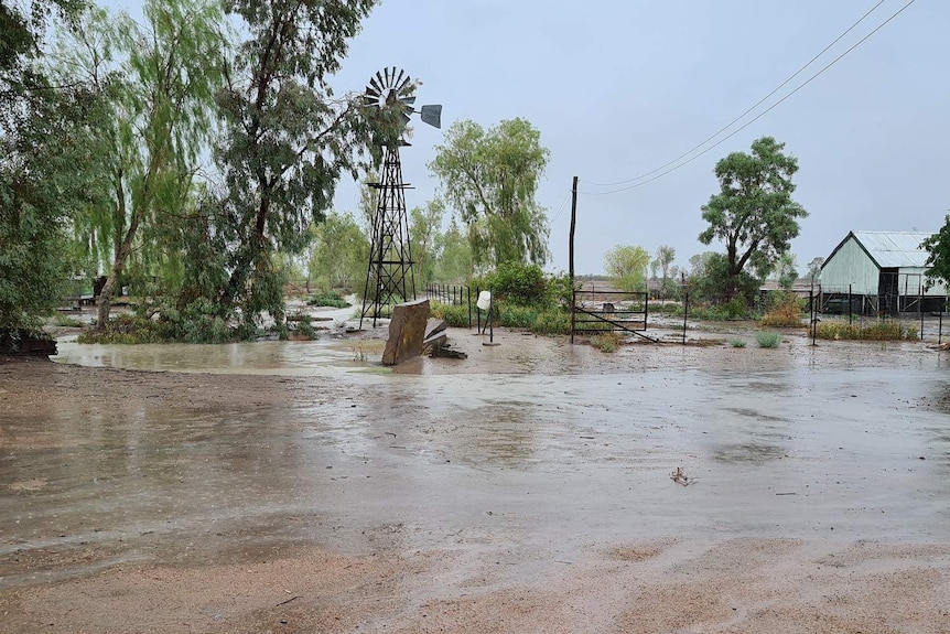 A windmill and trees surrounded by floodwaters.