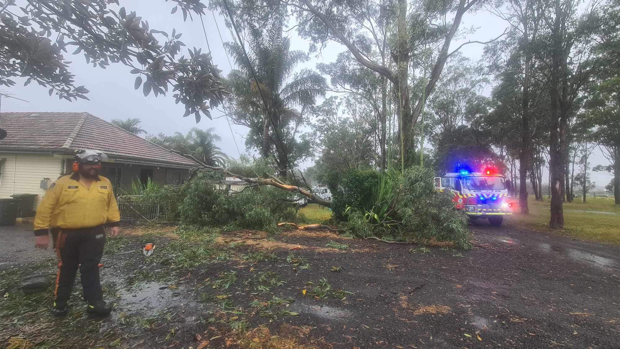 SES member stands near a fallen tree with a fire truck visible
