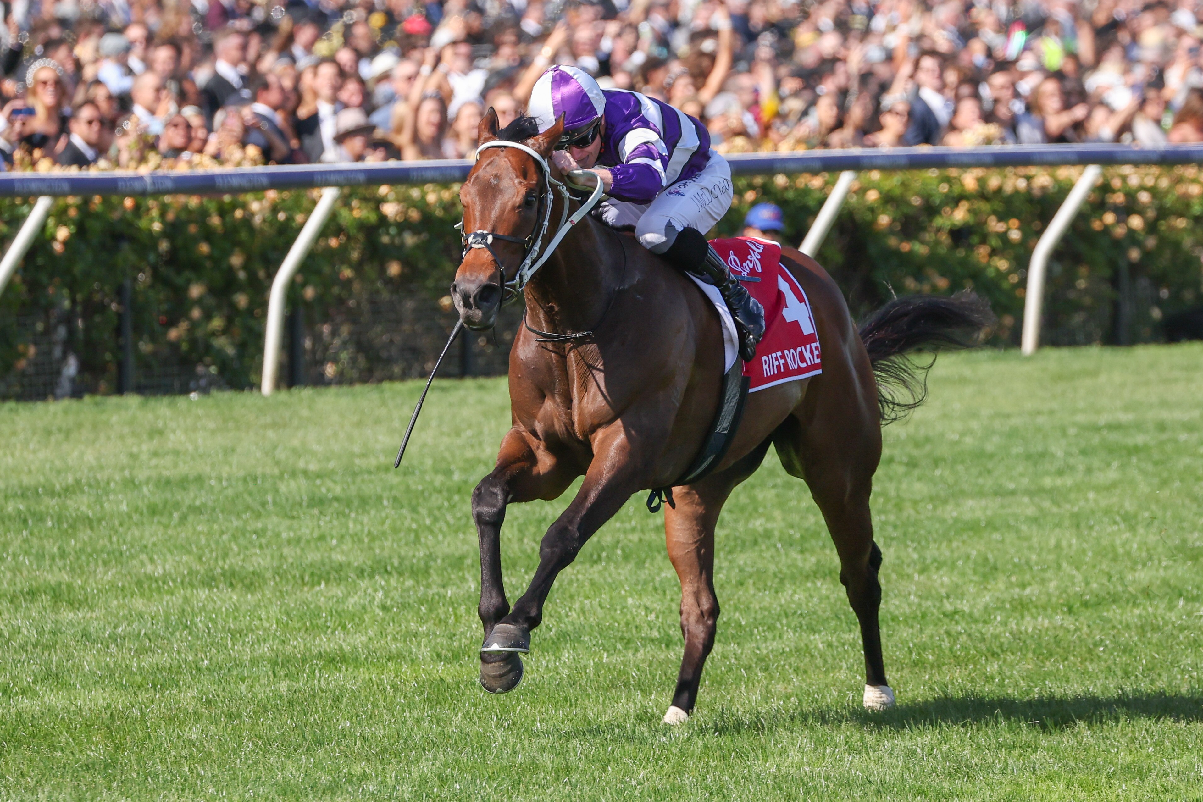 Riff Rocket wins Victoria Derby as Melbourne Cup carnival kicks off at ...