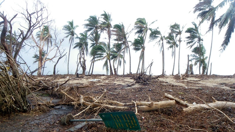 Cardwell foreshore after Cyclone Yasi