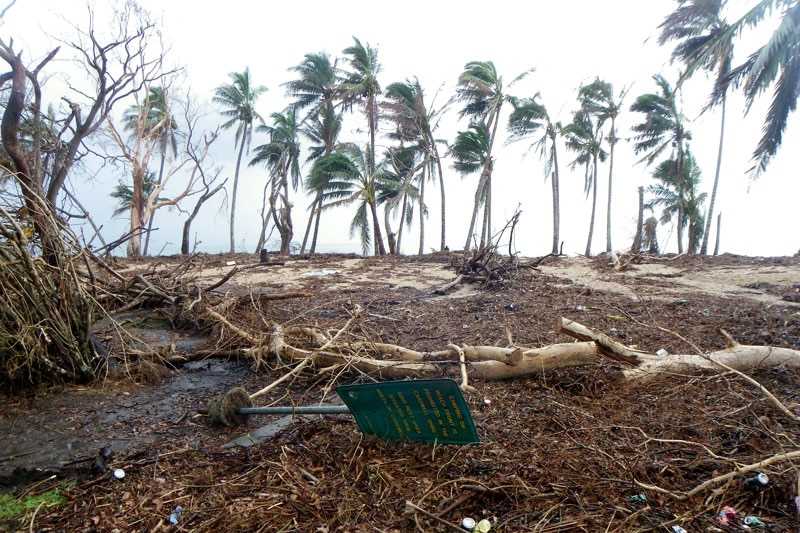 Cardwell foreshore after Cyclone Yasi