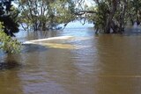 Water inundated on a paddock