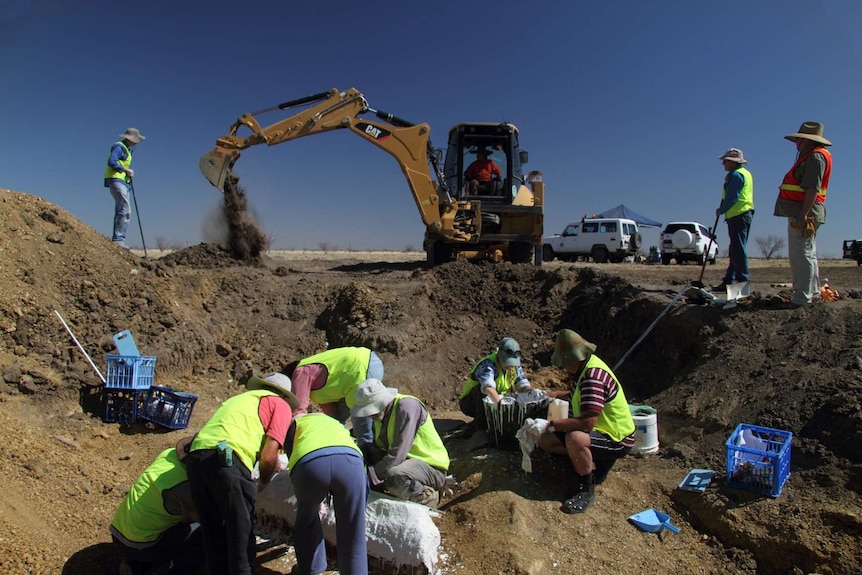 Excavation of the Austosaurus dig site in 2015 on Clutha Station near Richmond in north-west Queensland