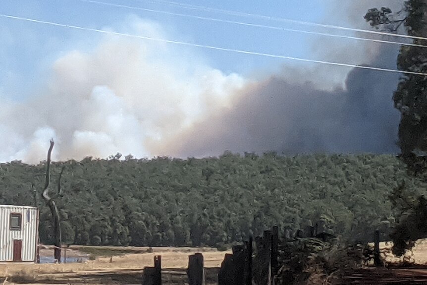 Smoke above bushland with a corrugated iron building to the left