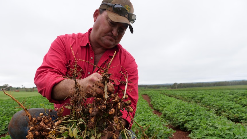 A farmer in a bright shirt holds up some of his produce.