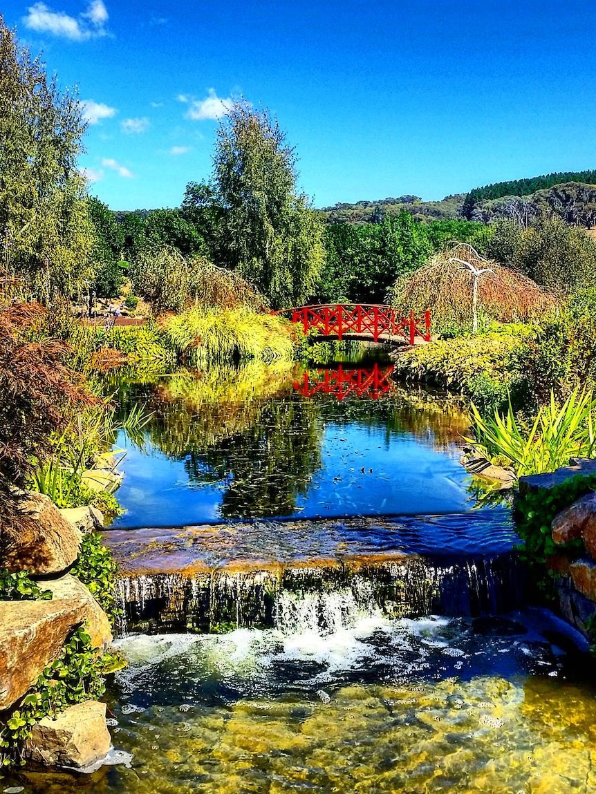 A waterway at the picturesque and colourful Mayfield Garden near Oberon.
