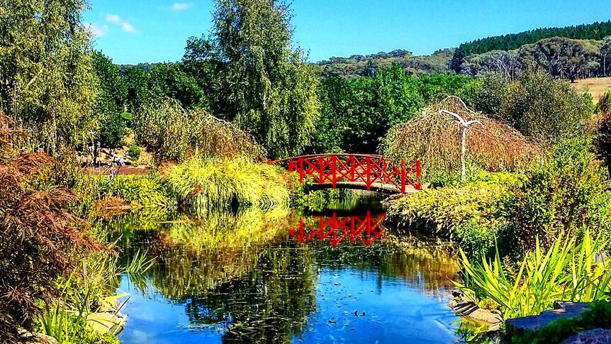 A waterway at the picturesque and colourful Mayfield Garden near Oberon.