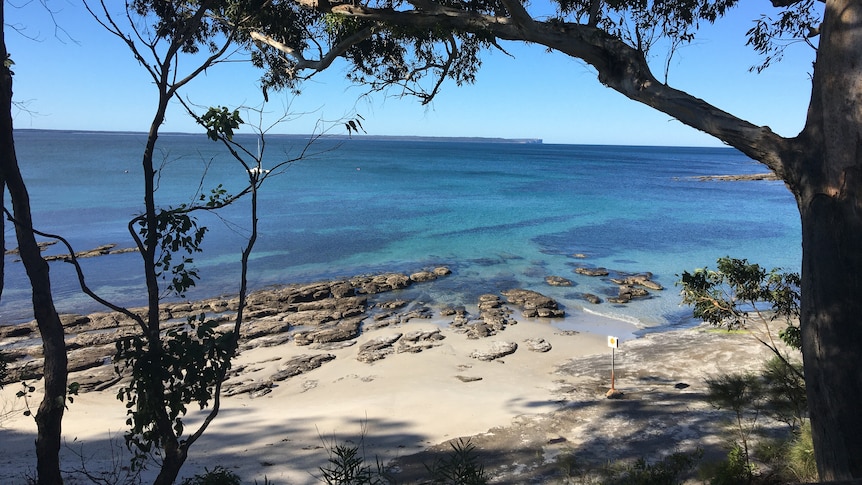 A picture of a calm looking beach