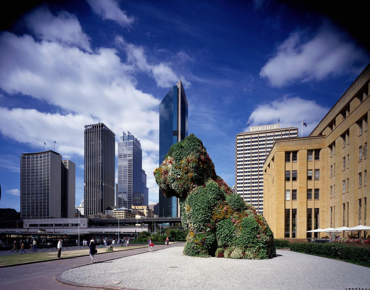 A our storey high sculpture of a puppy covered in flowers sits in front of a museum on Sydney Harbour.