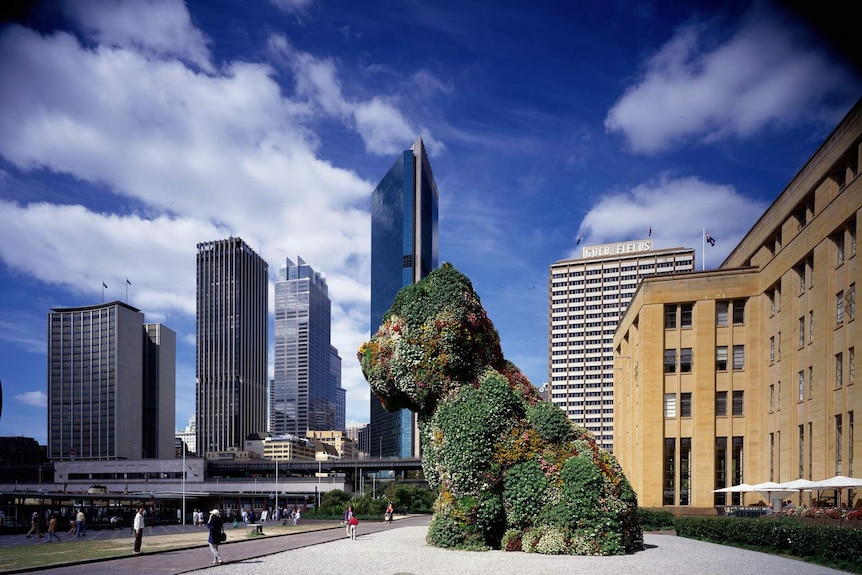 A our storey high sculpture of a puppy covered in flowers sits in front of a museum on Sydney Harbour.