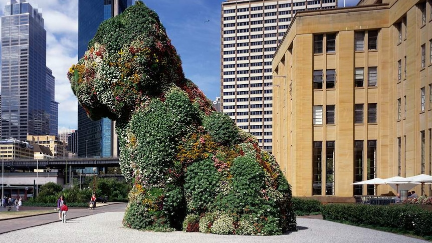 A our storey high sculpture of a puppy covered in flowers sits in front of a museum on Sydney Harbour.