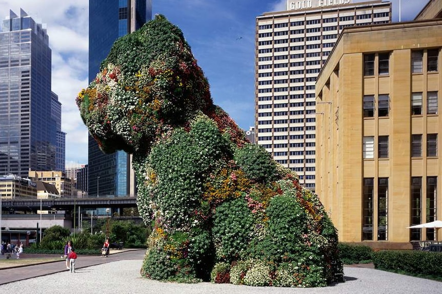 A our storey high sculpture of a puppy covered in flowers sits in front of a museum on Sydney Harbour.