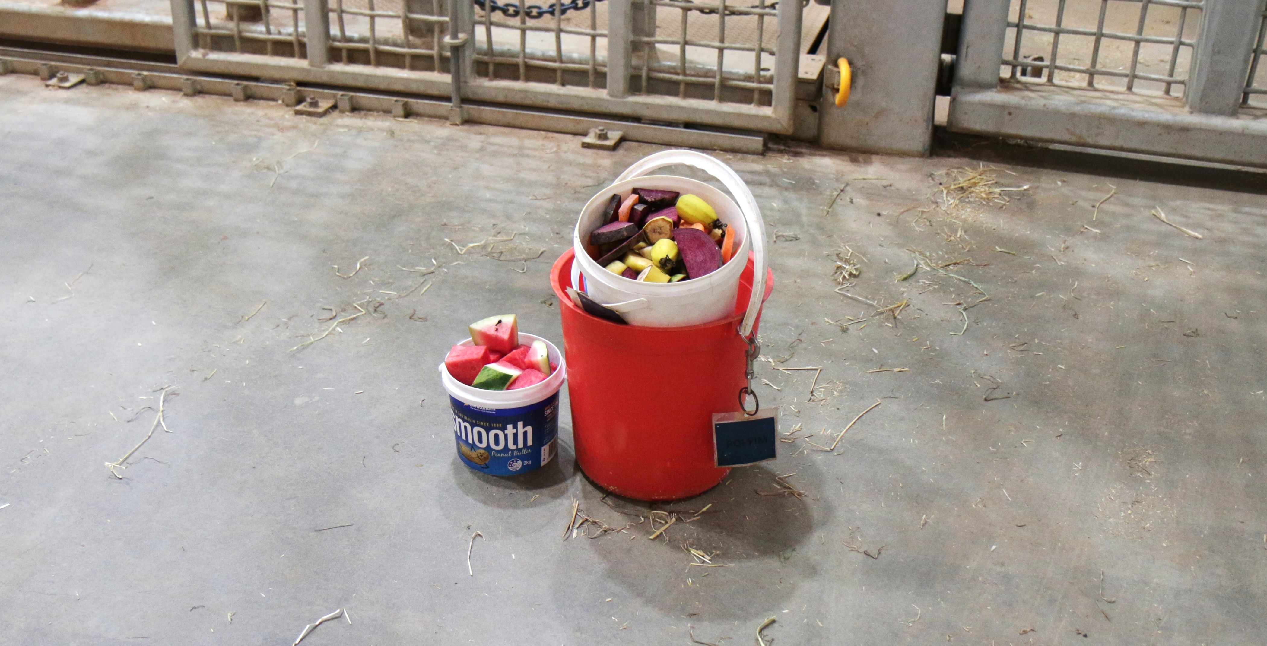Two buckets of fruit and vegetables side by side.