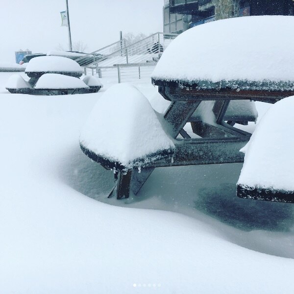 Australian snowfields rejoice after 'Blizzard of Oz' turns slopes into ...