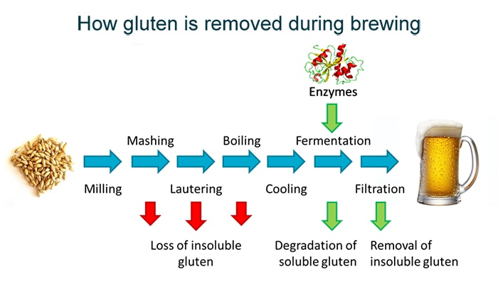 ビールの醸造過程を示す図