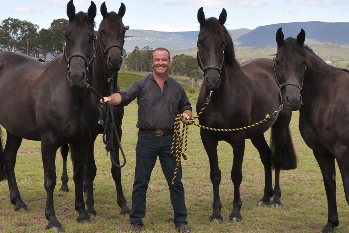 Paul McGreevy with horses outdoors