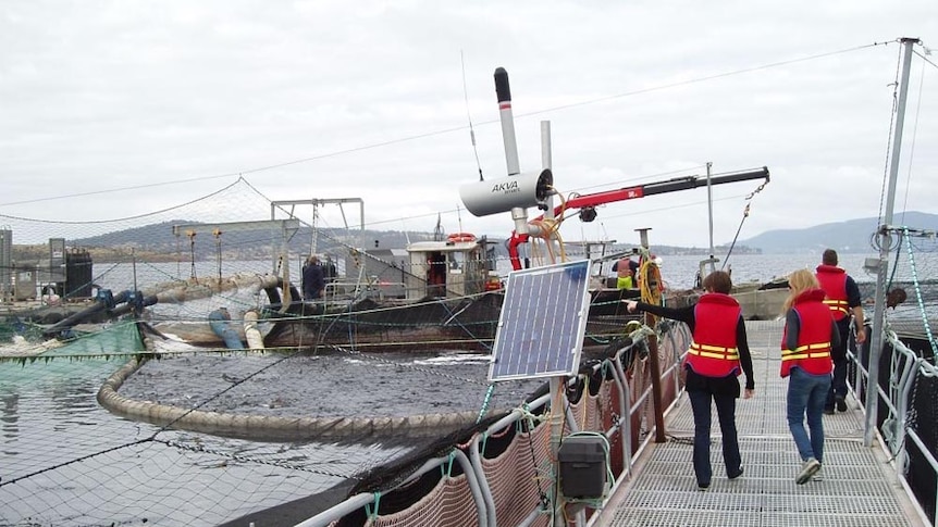 Fish farm in Tasmania