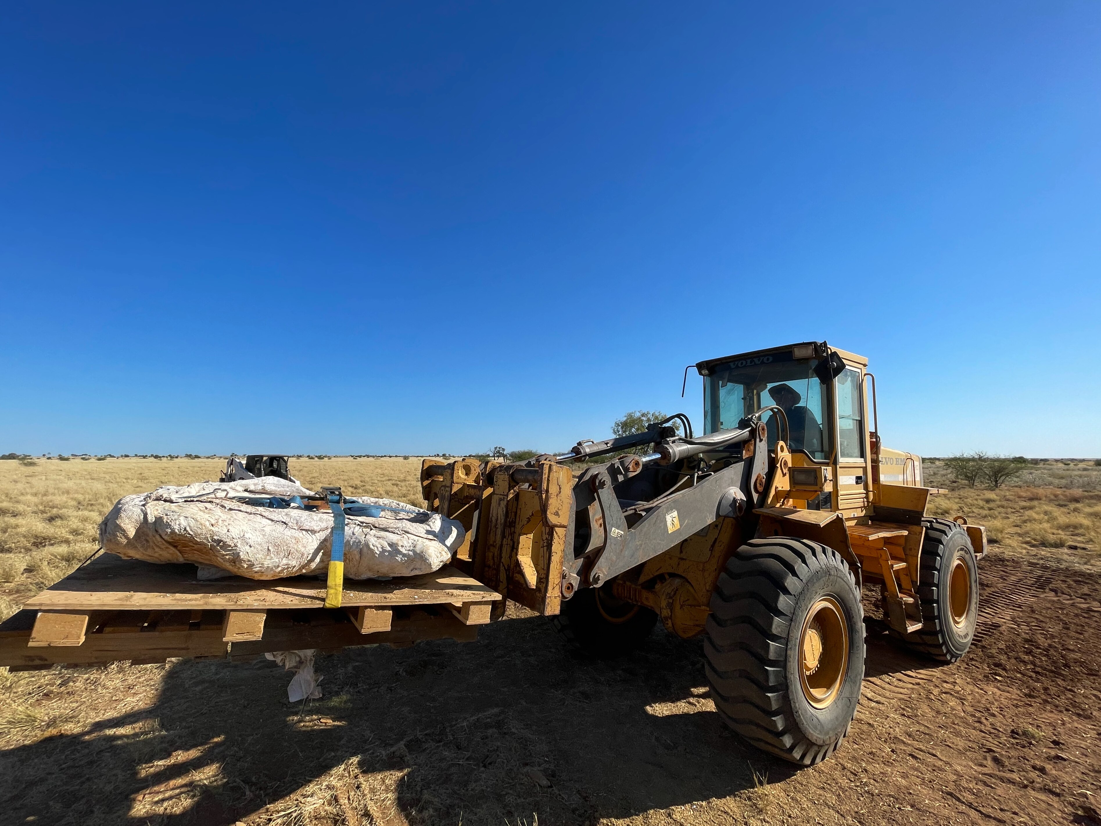 Fossil covered in plaster is moved by small truck