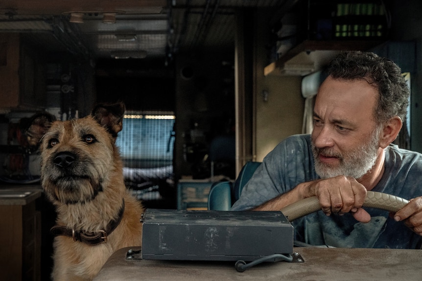 White middle-aged man with greying beard and hair clutches a steering wheel and looks at the scruffy wolfhound beside him.