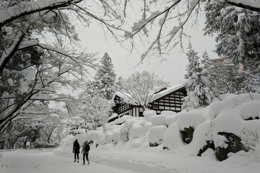 People walk through the snow at Nozawa Onsen ski resort