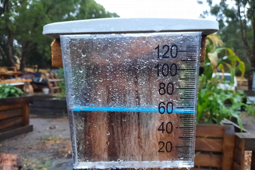 A rain gauge.