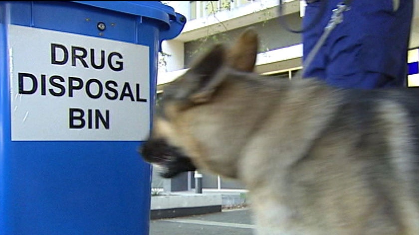 Drug disposal bin