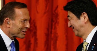 Tony Abbott and Shinzo Abe Custom
