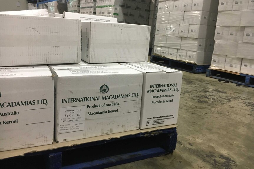 Boxes of macadamias waiting to be exported. April 2017