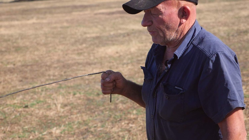 Water diviner Neil Derrick is walking through a paddock and is water divining.