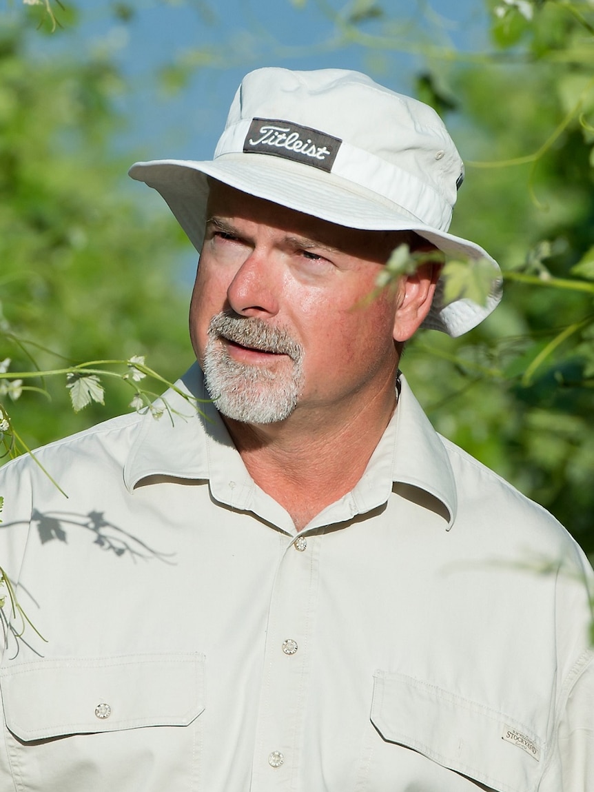 A man standing in a vineyard.