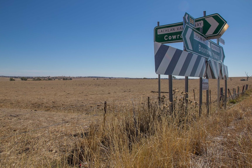 Road sign pointing to Boorowa, Cowra and Young in front of dry paddocks