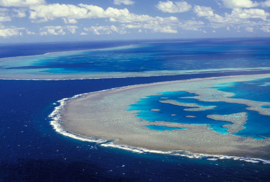 A musical tribute to the Great Barrier Reef