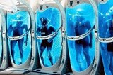 Four bodies suspended in blue liquid in cryogenics tanks.