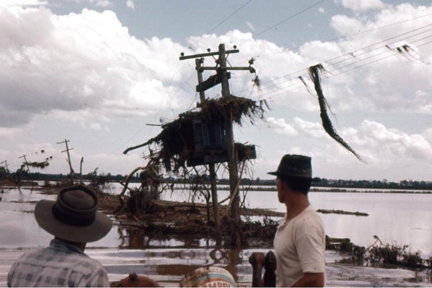 Deux hommes dans un bateau examinent les dommages causés par les inondations, y compris les débris attachés aux lignes électriques.